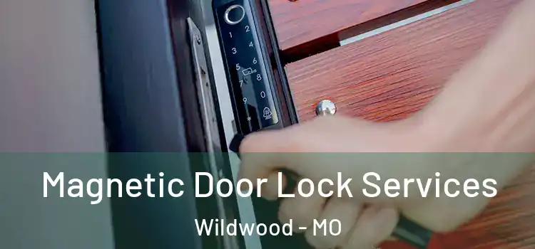 Magnetic Door Lock Services Wildwood - MO